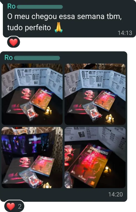 Mensagem com o texto: "O meu chegou essa semana tbm, tudo perfeito", com um emoji de mãos juntas, seguida de quatro fotos do livro, do escudo do mestre, de um pôster e dos dados sobre a mesa.