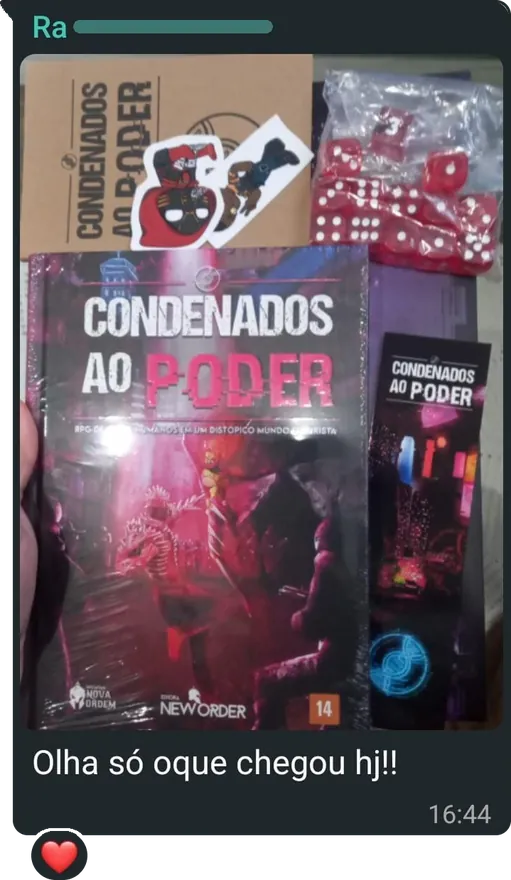 Mensagem com a foto do livro no plástico, dos dados, dos adesivos, do caderno e do marcador, e o texto: "Olha só oque chegou hj!!"